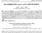 【余安胜】电针对脊髓损伤早期caspase—3 mRNA及蛋白表达的影响