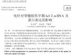 【余安胜】电针对脊髓损伤早期bcl-2 mRNA及蛋白表达的影响